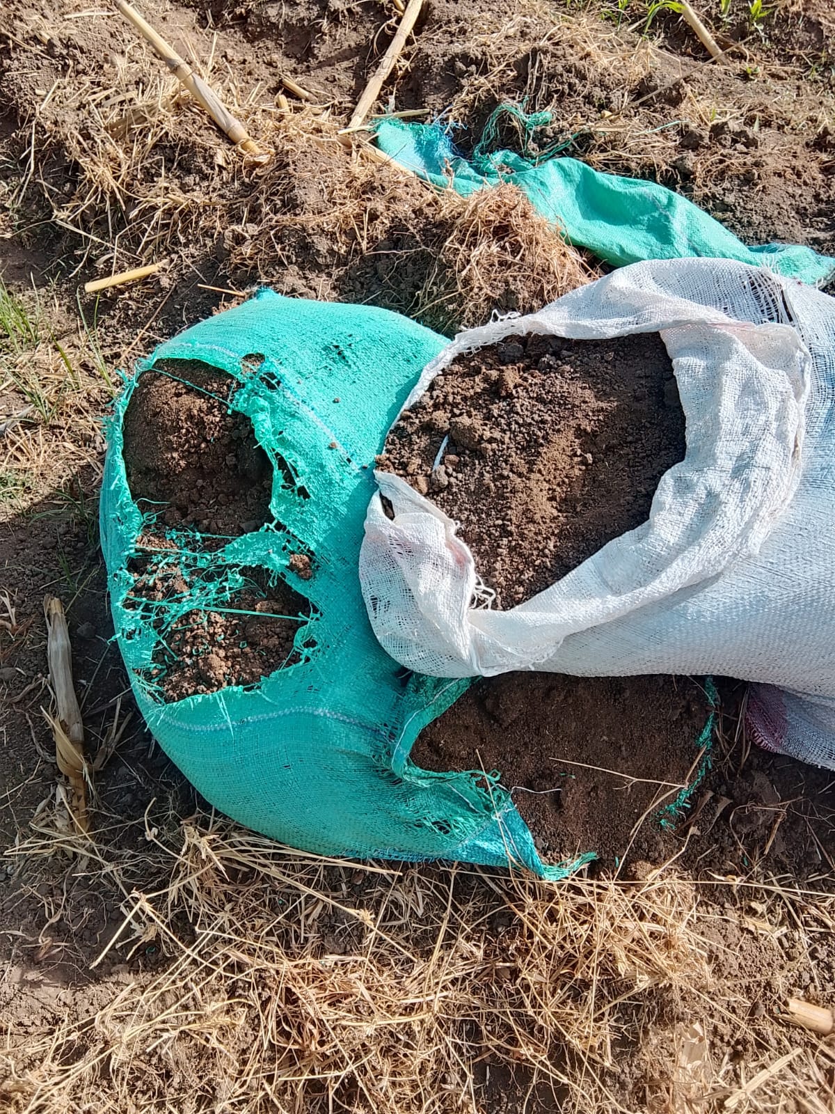 Promoting Good Agricultural Practices Through Organic Farming in Etakala, Narok County