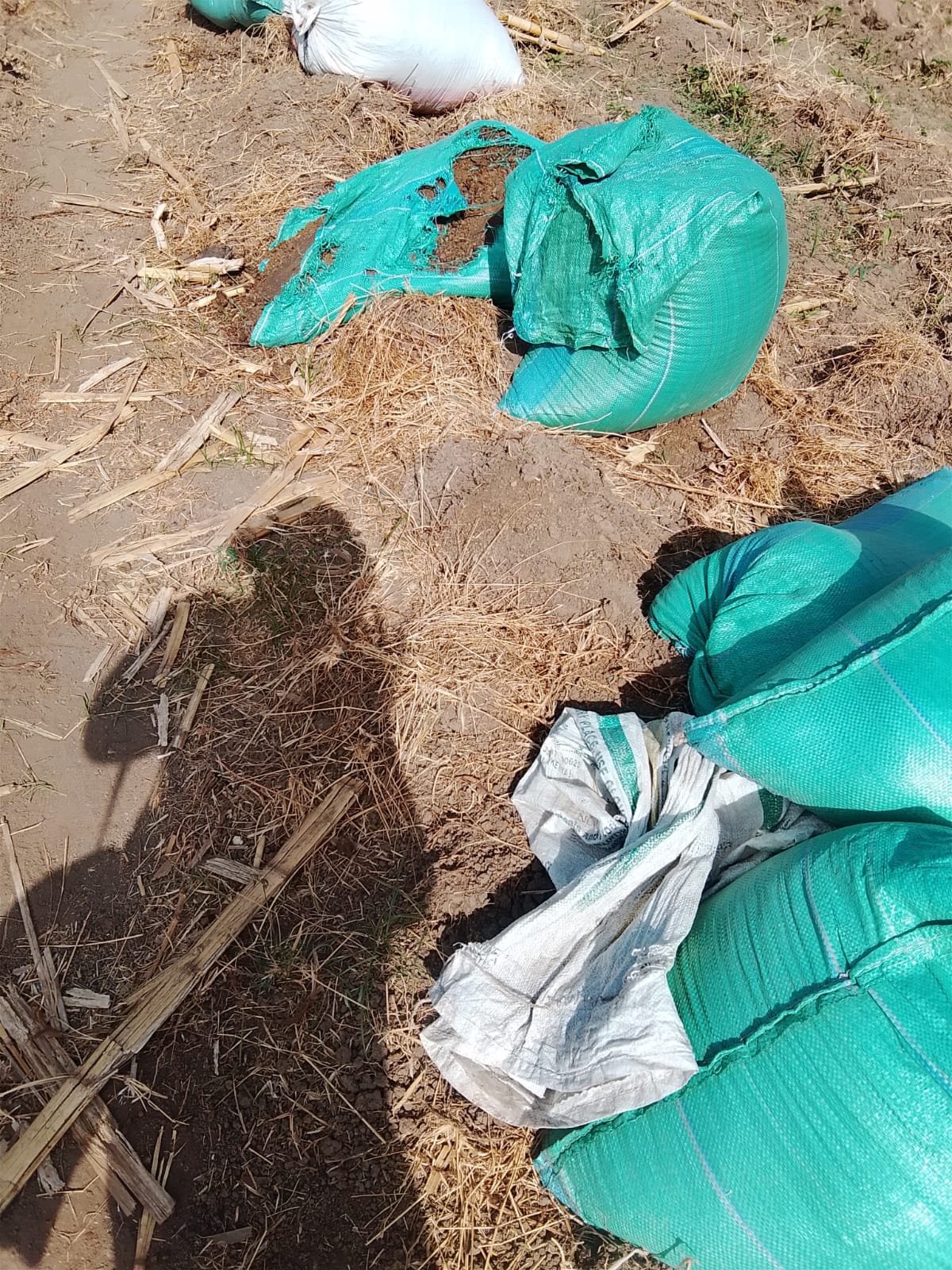 Promoting Good Agricultural Practices Through Organic Farming in Etakala, Narok County