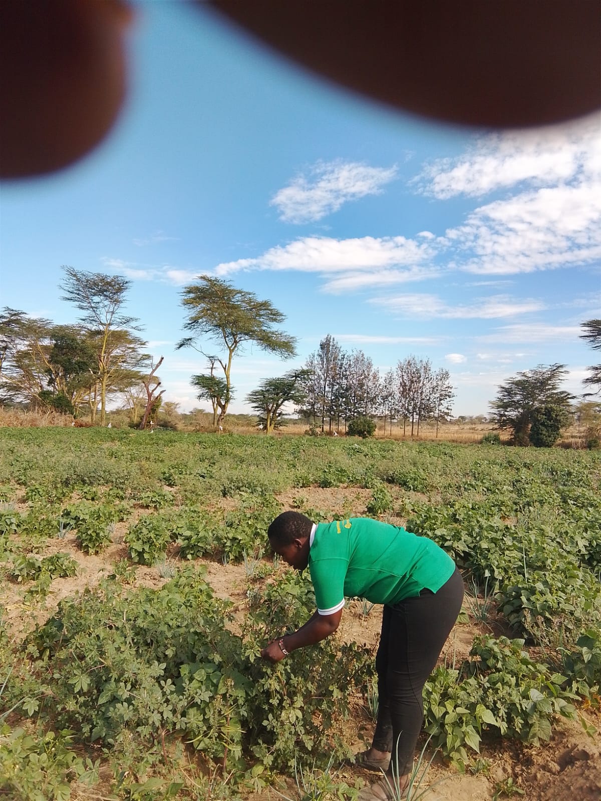 Promoting Good Agricultural Practices Through Organic Farming in Etakala, Narok County