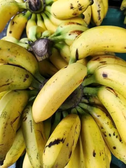 Empowering Banana Farmers in Kisii County